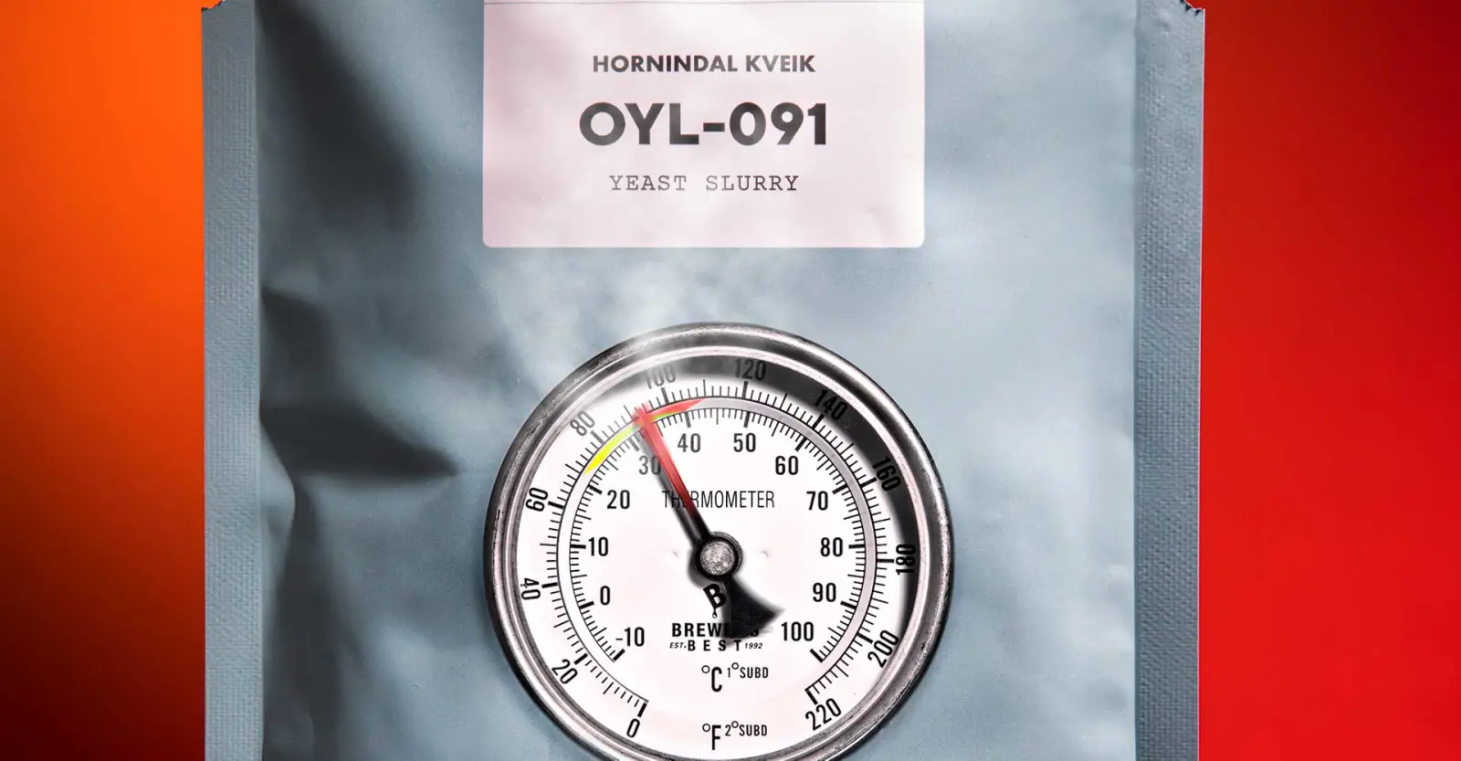 Under the Microscope: Clean Brewing with Kveik