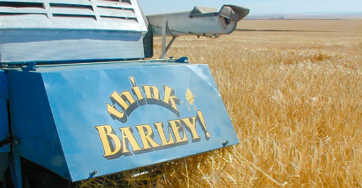 Rising Prices, Shrinking Supplies: Malt Is in for a Rough Year