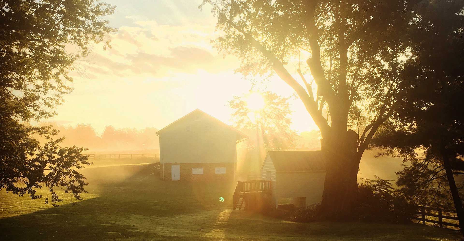 Hope Grows at Wheatland Spring Farm + Brewery