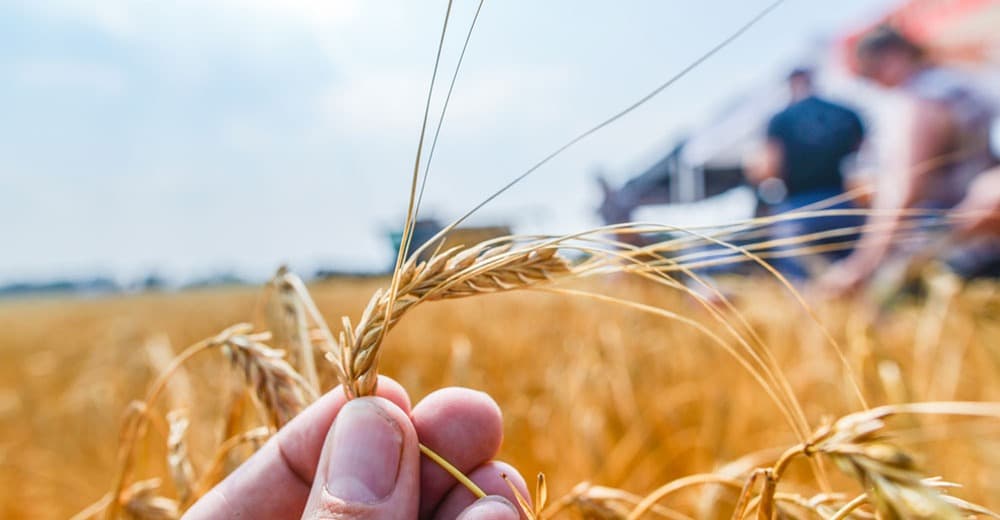 Brewers Association Awards 2019 Research Grants