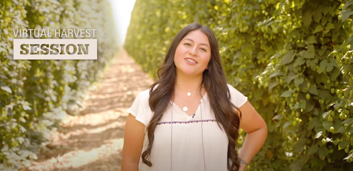 Ingredients Shopping Goes Virtual, for Now