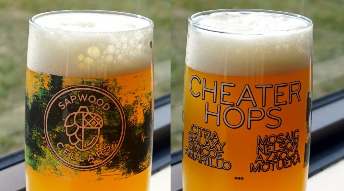 Underrated Aroma Hops: 10 Great Teammates at Rookie-Contract Prices