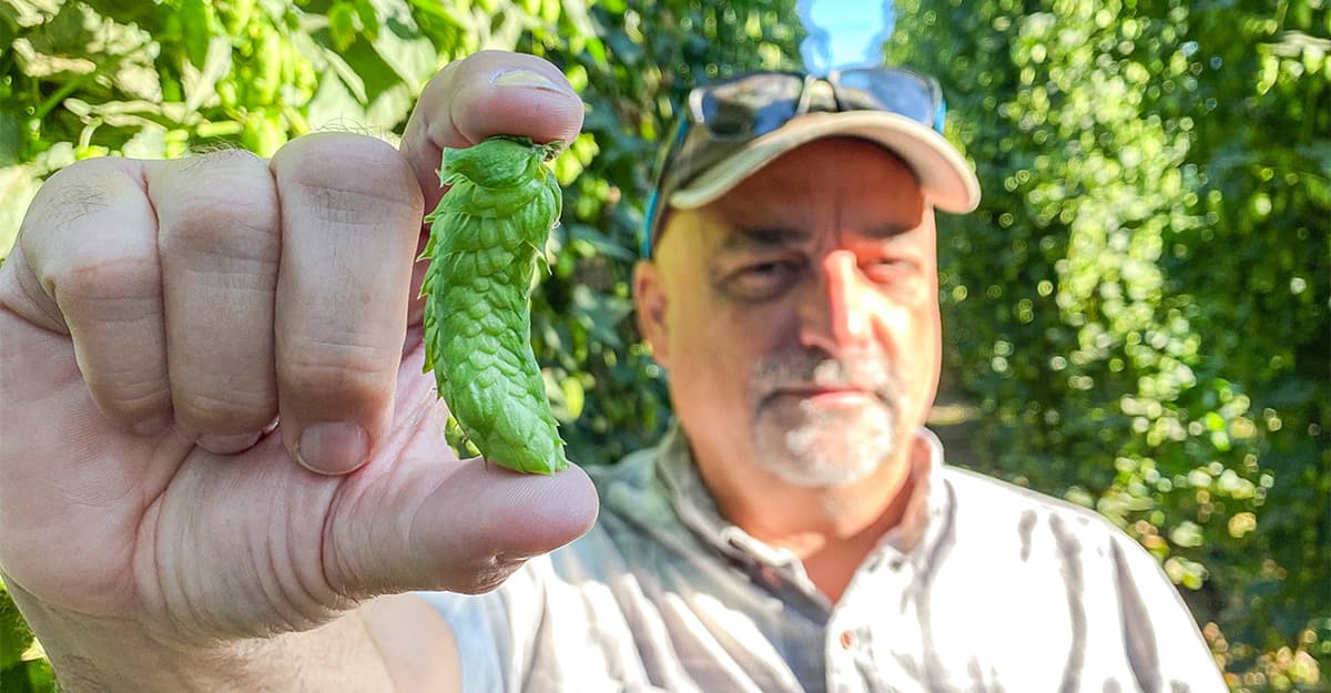 The Beer Ticker: Industry News & Notes, Harvest Edition