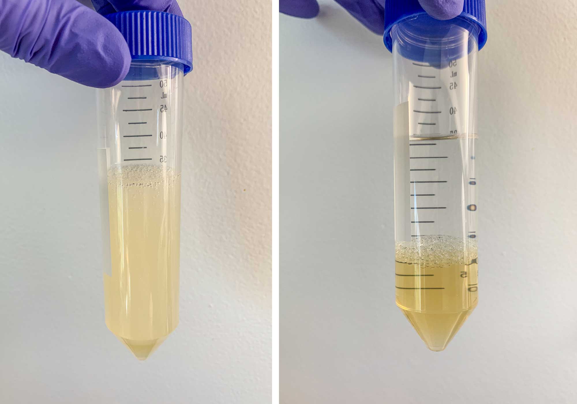 Quality Control: How Bitter is Bitter?