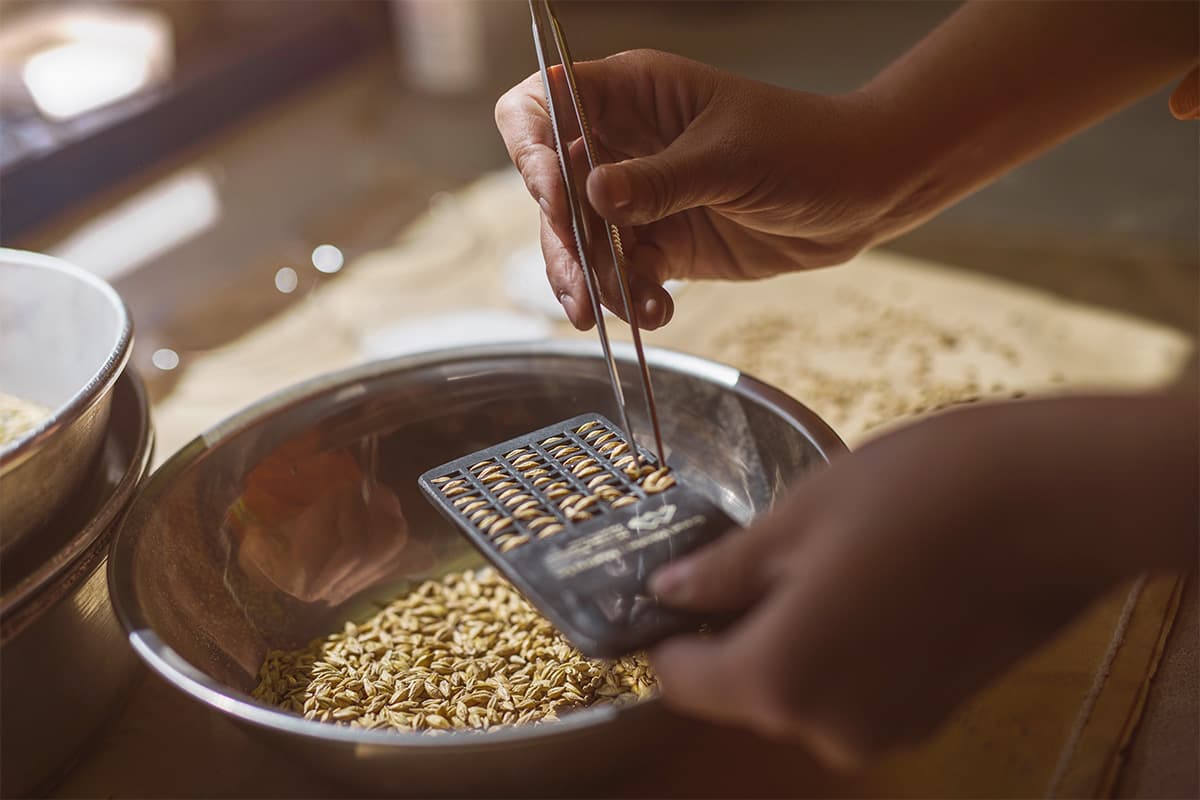 Malt Insider: Using COAs to Your Advantage