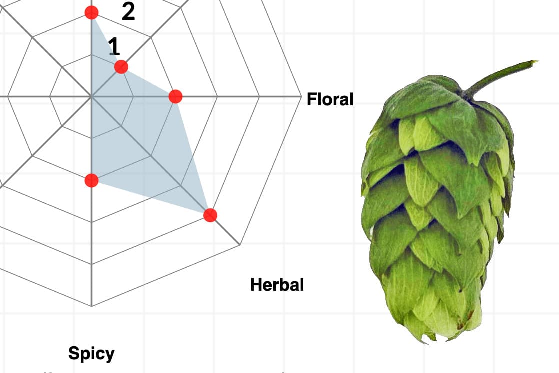 The Best Way to Evaluate New Lager Hops? Brew with Them.