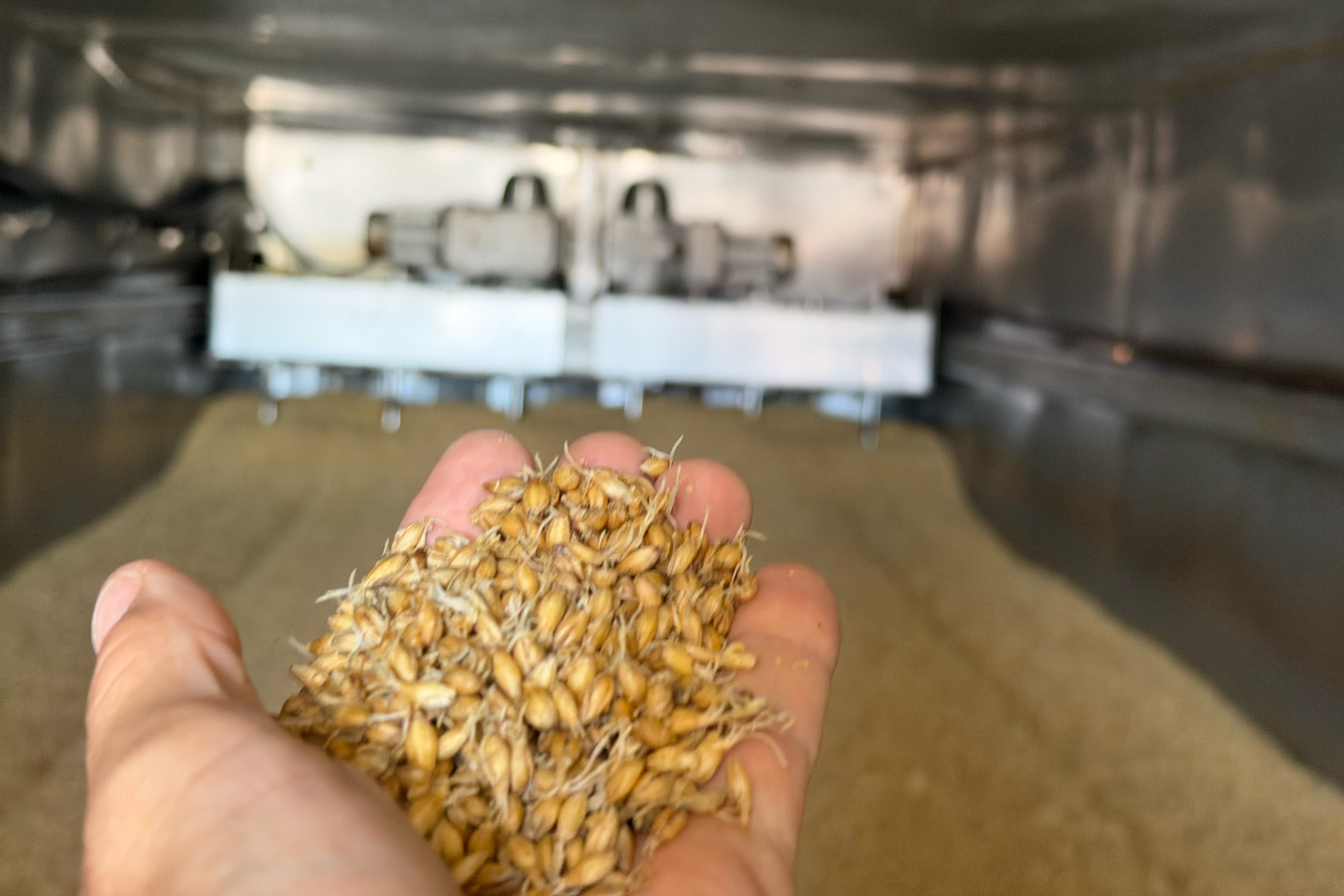 Malt Insider: Ultra-Pale Malts Are Ascendant