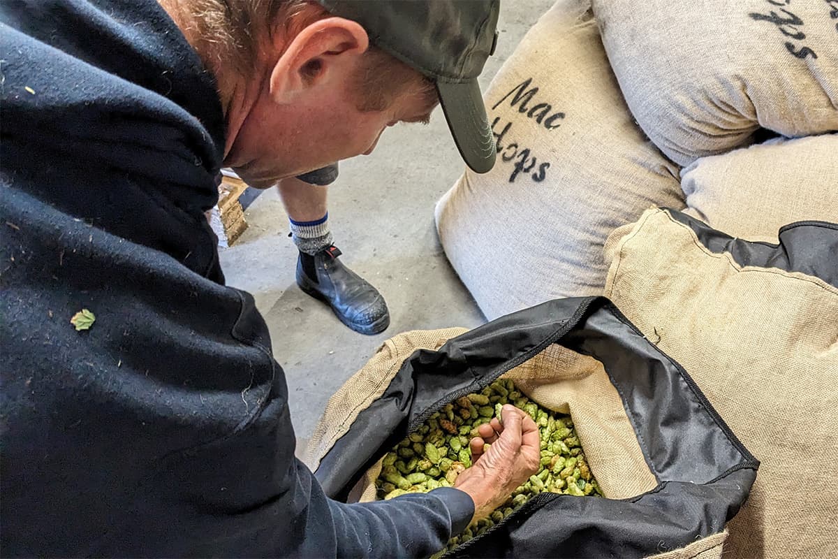 Hops Insider: Making Scents of Thiols