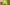Hop Maturity: The Impact of When They Pick  Primary Image