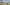Linking Barley Varieties to the Taste of Your Beer Primary Image