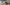 Case Study: Wolves & People Primary Image