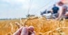 Brewers Association Awards 2019 Research Grants Image