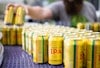 Brewing with Purpose: Making the Most of a Good-Cause Beer Image