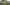Hops Insider: The Good, the Bad, and the Ugly News from Harvest 2022 Primary Image