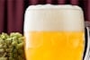 Foam Loves Hops (Except When It Doesn’t) Image